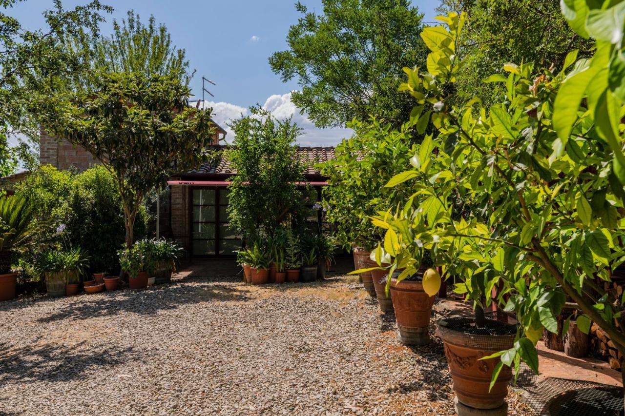 Casa Vignacce Villa Marciano della Chiana Exterior foto