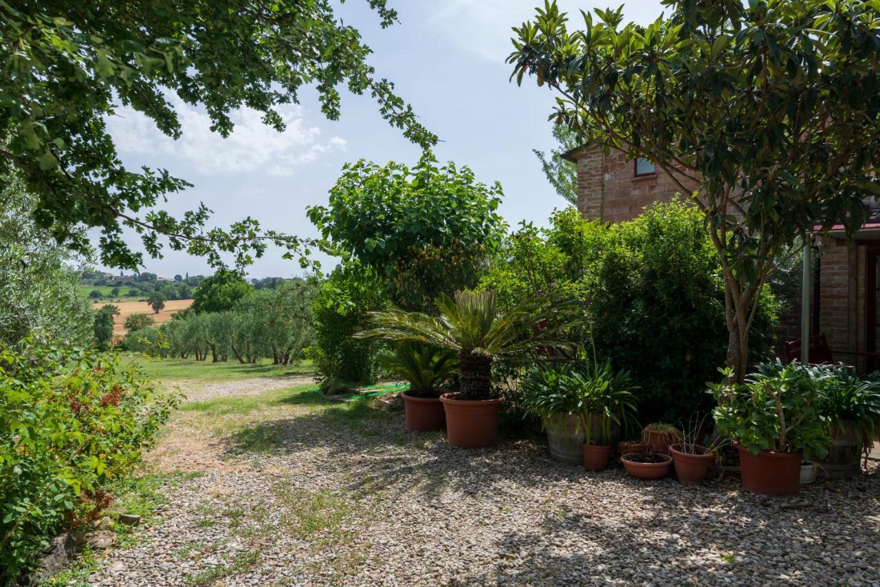 Casa Vignacce Villa Marciano della Chiana Exterior foto