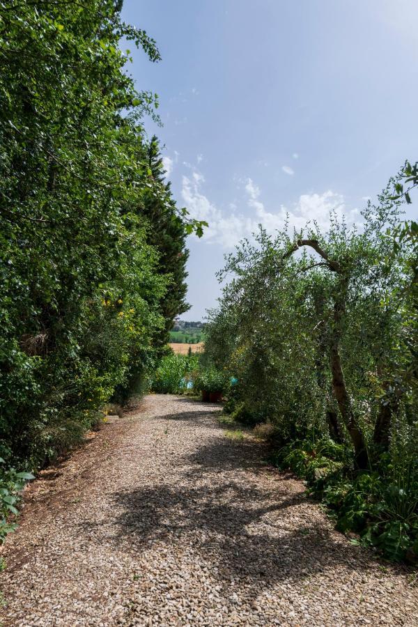 Casa Vignacce Villa Marciano della Chiana Exterior foto