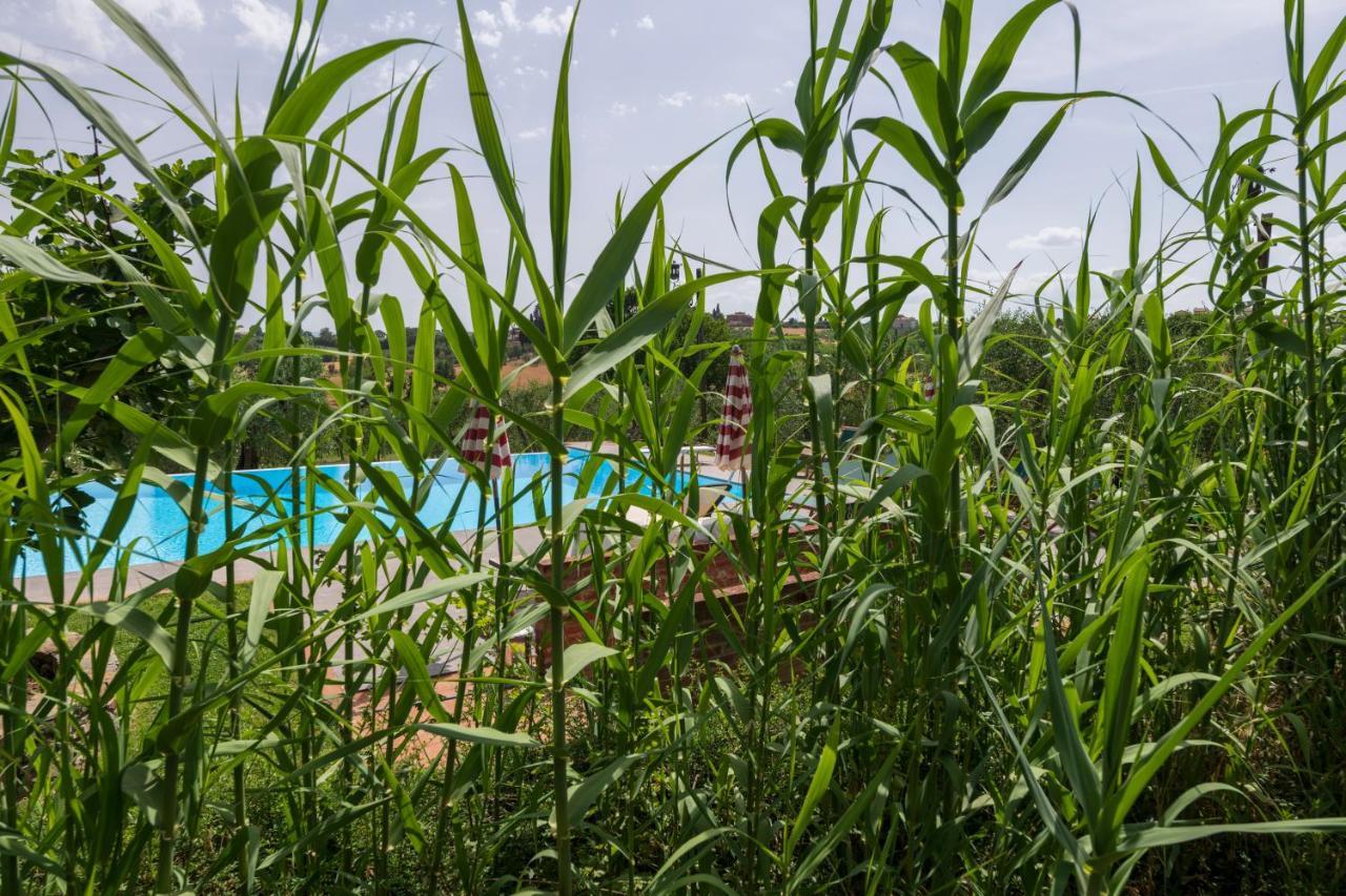 Casa Vignacce Villa Marciano della Chiana Exterior foto